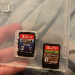 Nintendo Switch Minecraft Game Cards (2)